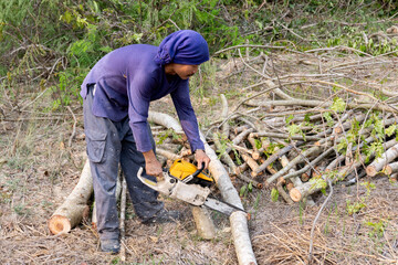 Lumberjack with chainsaw worker cutting tamarind tree trunk. Chainsaw cutting the branch.