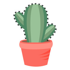 Cactus in a red pot