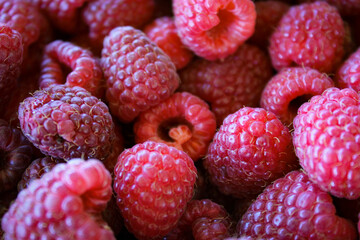 Raspberries. Raspberry background. Ripe raspberries.