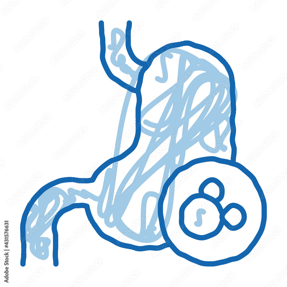 Canvas Prints human kidney doodle icon hand drawn illustration