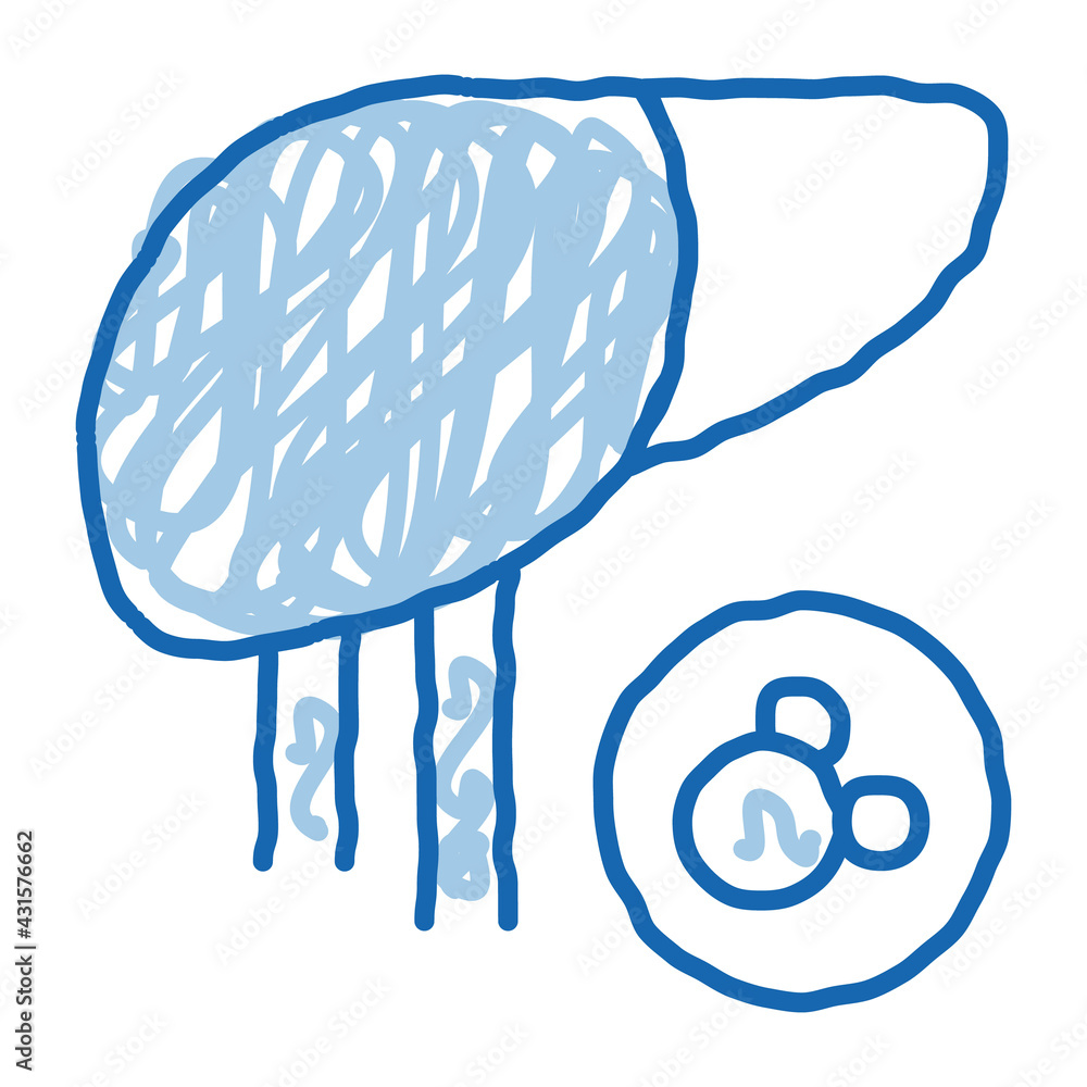 Canvas Prints human liver doodle icon hand drawn illustration