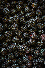 Blackberries. Ripe blackberries. Blackberry background.