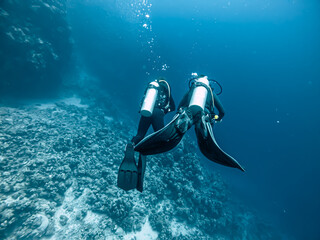 Two divers underwater 