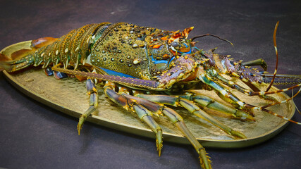 Colorful  lobster sea fish on metal plate, ready to cook.