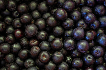 Chokeberry berries. Aronia berries. Chokeberry, aronia background fruit. Fruits. Berry. Freshly picked ripe berries. Aronia melanocarpa or black chokeberry background. Close up. Macro.