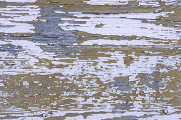 The texture of the old painted wood. Old paint on wooden boards. Abstract background for design and project.