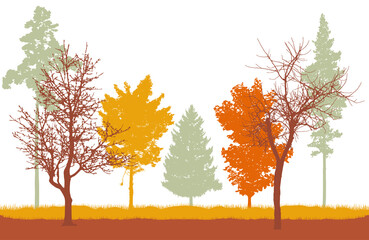 Naklejka na ściany i meble Autumn woodland, silhouette of bare tree, trees with leaves and spruce and pine. Beautiful nature, landscape. Vector illustration