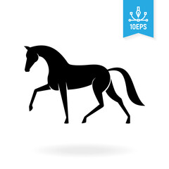 Fototapeta na wymiar Equine vector illustration. Horse black silhouette.