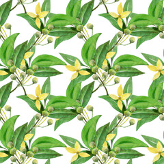 Fototapeta na wymiar Watercolor laurel branch seamless pattern.Image on a white and colored background.