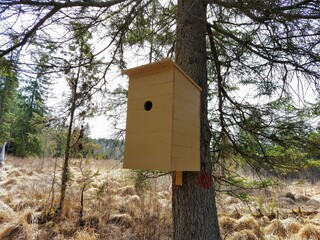 a very large bird cage by the tree