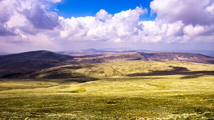 Fototapeta premium Wales 