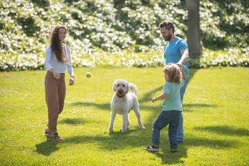 Happy family on summer walk. Father mother and child with dog walking in the Park and enjoying the beautiful nature.