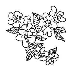 Isolated vector set of abstract black and white blossoming apple leaves and flowers line art 