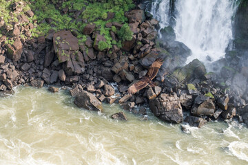 Cataratas del Iguazu