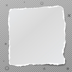 Torn, ripped white paper strip with soft shadow is on squared grey background for text. Vector illustration
