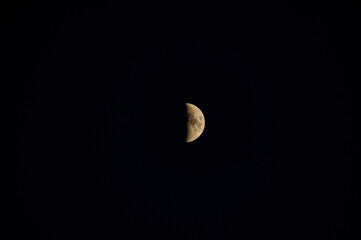 Moon in the first quarter in the dark night sky