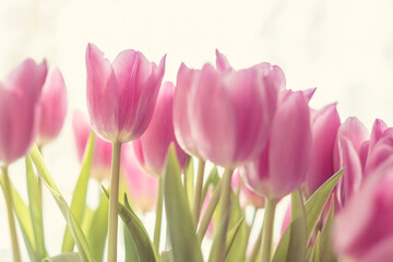 Flowers, spring holidays and home decor Bouquet of tulips