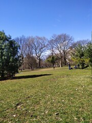 spring in the park