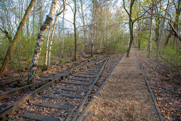 Fototapeta premium Landscape in Nature park Schoneberger Sudgelande in Schoneberg Berlin Germany