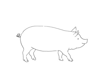 豚のイラスト-線画・手描き