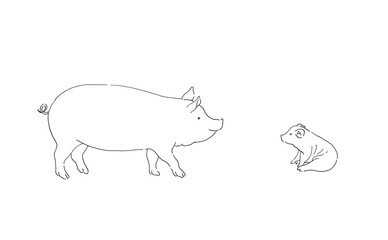 豚の親子のイラスト-線画・手描き