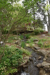 A stream rushes through a beautiful park
