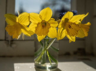 A bouquet of daffodils in a clear glass on the windowsill.