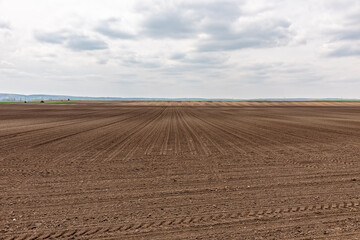 Fototapeta na wymiar Agricultural field ready for sowing. Agricultural field, ploughed field, farming backgrounds.