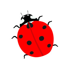 Vector illustration with a red ladybug, isolated element on a white background in a flat style. Vector illustration with insects