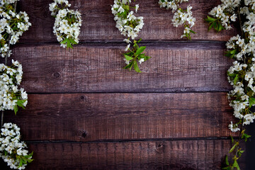 Hintergrund, Hintergrund mit weiße Blumen auf Holzplanke  