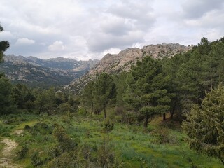 Fototapeta na wymiar Madrid mountains and woods landscape