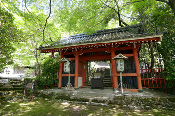 Naklejka premium 新緑の金蔵寺 仁王門 京都市大原野