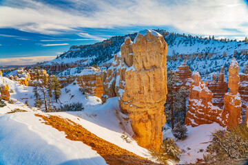 Snow Covered Hoodoos at Bryce Canyon