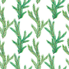Watercolor fir tree branches pattern