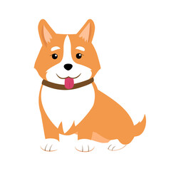 Corgi vector illustration on a white background. Сheerful dog sitting, smiling with tongue out