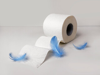 A roll of soft toilet paper on a light background and delicate blue feathers