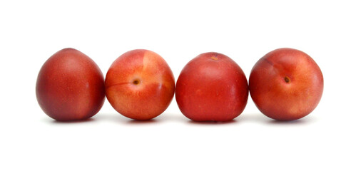 Red plum fruit isolated on white background