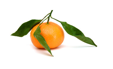 Ripe mandarin citrus isolated tangerine mandarine orange on white background. 