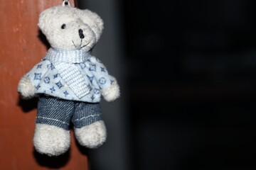 teddy bear on a black background