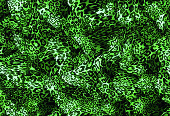 unique animal skin pattern	