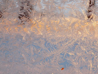 Ice on Window Pane