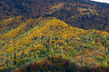 Mountain Landscape in the Fall