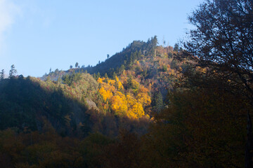 Mountain Landscape in the Fall