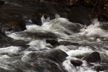 Cascading stream in black and white