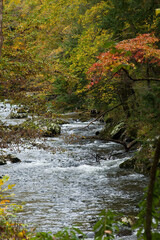 Cascading stream with rocks