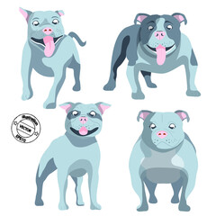 Dog set