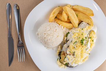 Dish Made - Eggplant Lasagna with White Sauce and Cheese, Rice and Rustic Potato