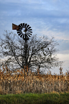 Windmill And Tree In Symbiotic Relationship.