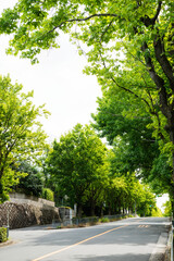 吹田市の三色彩道