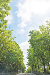 吹田市の三色彩道